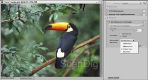 Via Nikon Capture NX2 kann man selbst digitalen Rohdaten mit Korneffekten versehen, es gelten die gleichen Einschränkungen wie bei Photoshop.